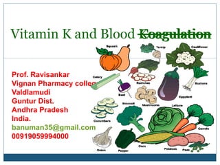 Prof. Ravisankar
Vignan Pharmacy college
Valdlamudi
Guntur Dist.
Andhra Pradesh
India.
banuman35@gmail.com
00919059994000
Vitamin K and Blood KoagulationCoagulation
 
