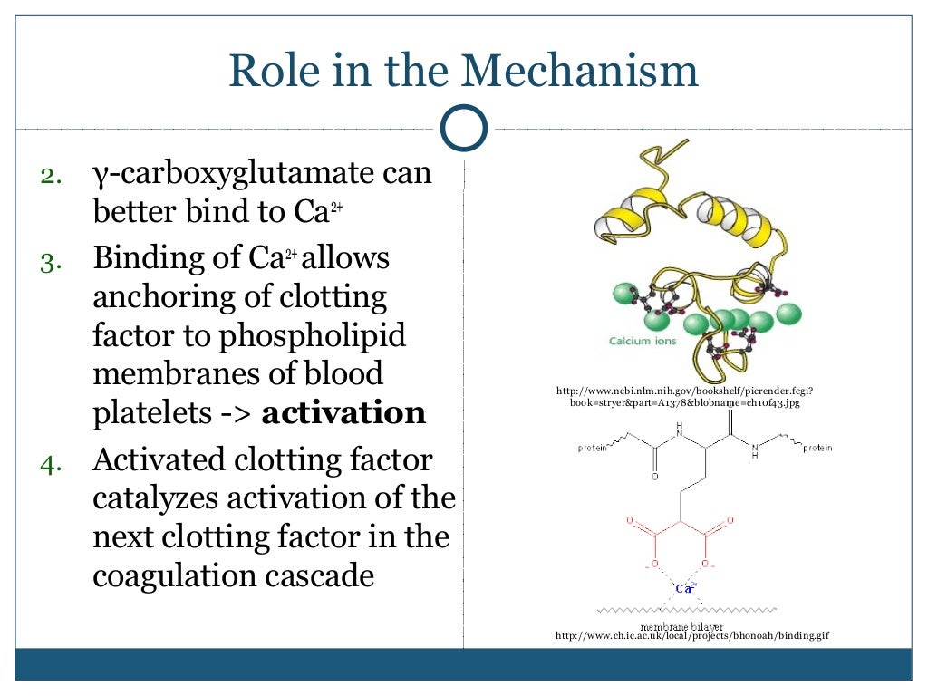 VITAMIN K, [MEDICINAL CHEMISTRY] BY P.RAVISANKAR,STRUCTURES OF VITAMI…