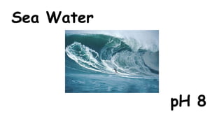 Sea Water

pH 8

 