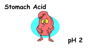 Stomach Acid

pH 2

 