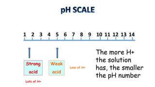 1 2 3 4 5 6 7 8 9 10 11 12 13 14

Strong

Weak

acid

acid

Lots of H+

Less of H+

The more H+
the solution
has, the smaller
the pH number

 