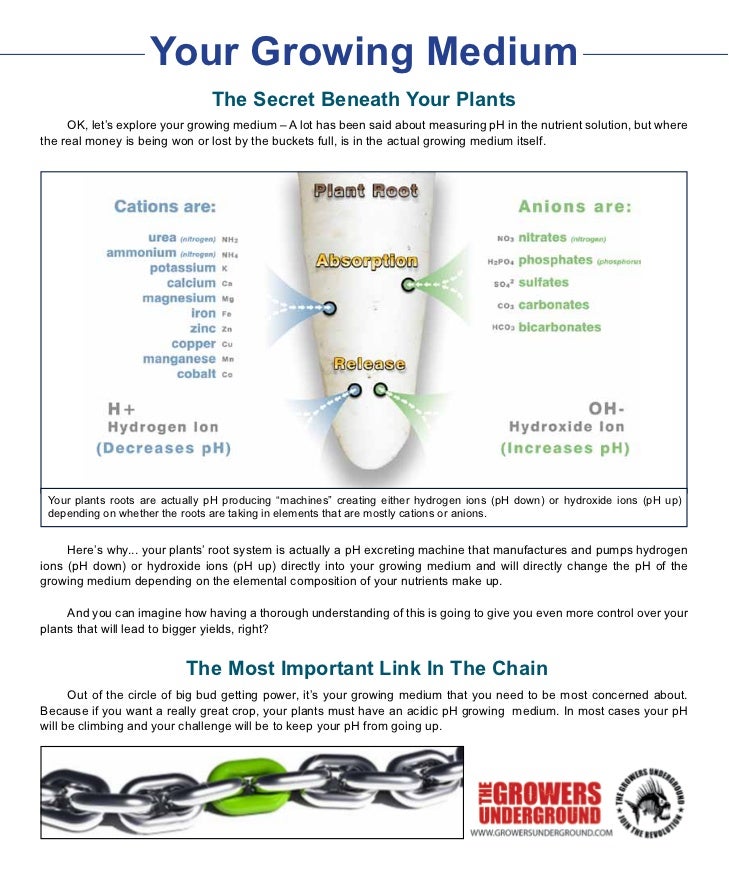 pH Perfect Technology