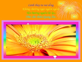 Lành thay ta vui sống, Không chướng ngại ngấm ngầm, Tận hưởng nguồn hỷ lạc, Như chư thiên Quang Âm . 