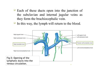 PHMD104-Lymphatic-System_ works advantage of lymphatic system ...