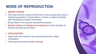 MODE OF REPRODUCTION
• BINARY FISSION
• The most common mode of cell division is the usual growth cycle of
bacterial populations - binary fission, in which a single cell divides
after developing a septum (crosswall).
• Binary fission is an asexual reproductive process.
• Bacillus subtilis and Streptococcus faecalis are some example of
bacteria showing binary fission.
• CONJUGATION
• Special pili are involved in the sexual reproduction, called
conjugation.
• These pili are named as f-pili or sex-pili.
 