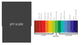 pH scale
 