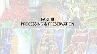 Post harvest engineering of fruits and vegetables | PDF