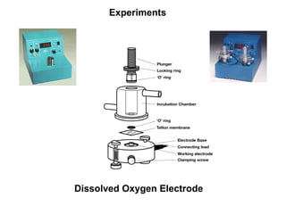 Experiments Dissolved Oxygen Electrode 