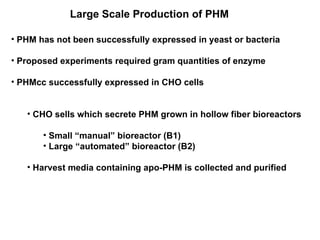 Large Scale Production of PHM PHM has not been successfully expressed in yeast or bacteria Proposed experiments required gram quantities of enzyme PHMcc successfully expressed in CHO cells CHO sells which secrete PHM grown in hollow fiber bioreactors Small “manual” bioreactor (B1) Large “automated” bioreactor (B2) Harvest media containing apo-PHM is collected and purified 