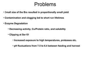 Problems S mall size of the Brx resulted in proportionally small yield  Contamination and clogging led to short run lifetimes Enzyme Degradation Decreasing activity, Cu/Protein ratio, and solubility Clipping at Ser 61 Increased exposure to high temperatures, proteases etc. pH fluctuations from 7.5 to 6.4 between feeding and harvest 