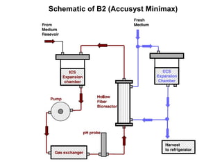 B2 Schematic of B2 (Accusyst Minimax) 