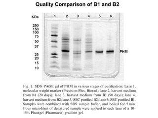 Quality Comparison of B1 and B2 
