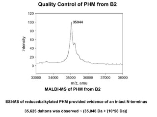 MALDI-MS of PHM from B2 ESI-MS of reduced/alkylated PHM provided evidence of an intact N-terminus 35,625 daltons was observed ~ (35,048 Da + (10*58 Da))  Quality Control of PHM from B2 