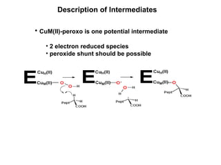 Description of Intermediates CuM(II)-peroxo is one potential intermediate 2 electron reduced species peroxide shunt should be possible 