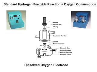 Dissolved Oxygen Electrode Standard Hydrogen Peroxide Reaction + Oxygen Consumption 