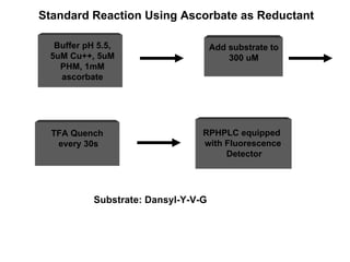 Standard Reaction Using Ascorbate as Reductant Substrate: Dansyl-Y-V-G Buffer pH 5.5, 5uM Cu++, 5uM PHM, 1mM ascorbate TFA Quench  every 30s Add substrate to 300 uM RPHPLC equipped  with Fluorescence Detector 