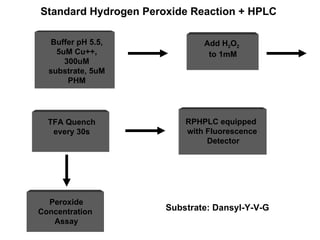 Substrate: Dansyl-Y-V-G Standard Hydrogen Peroxide Reaction + HPLC Buffer pH 5.5, 5uM Cu++, 300uM substrate, 5uM PHM TFA Quench every 30s Add H 2 O 2   to 1mM RPHPLC equipped  with Fluorescence Detector Peroxide Concentration  Assay 