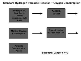 Substrate: Dansyl-Y-V-G Standard Hydrogen Peroxide Reaction + Oxygen Consumption Quench  entire reaction with TFA Buffer pH 5.5, 5uM Cu++, 300uM substrate, 5uM PHM Monitor Oxygen Consumption Add H 2 O 2   to 1mM Peroxide Concentration  Assay 