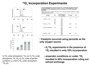 Catalysis occurred using peroxide as the only oxygen source H 2 18 O 2  experiments in the presence of  16 O 2  resulted in only 35% incorporation anaerobic conditions or under  18 O 2   resulted in 90% incorporation ruling out  solvent exchange 18 O 2  Incorporation Experiments H 2 18 O 2  under atmospheric  16 O 2  ( a ), H 2 16 O 2  under atmospheric  18 O 2  ( b ), H 2 18 O 2  under anaerobic conditions  c ), and H 2 18 O 2  under atmospheric  18 O 2  ( d ). 