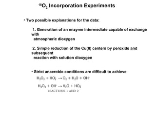Two possible explanations for the data:  1. Generation of an enzyme intermediate capable of exchange with atmospheric dioxygen 2. Simple reduction of the Cu(II) centers by peroxide and subsequent reaction with solution dioxygen Strict anaerobic conditions are difficult to achieve 18 O 2  Incorporation Experiments 