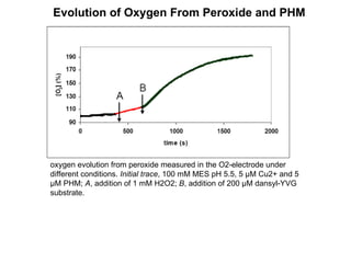 oxygen evolution from peroxide measured in the O2-electrode under different conditions.  Initial trace , 100 mM MES pH 5.5, 5 μM Cu2+ and 5 μM PHM;  A , addition of 1 mM H2O2;  B , addition of 200 μM dansyl-YVG substrate. Evolution of Oxygen From Peroxide and PHM 