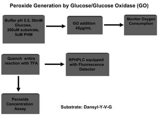 Substrate: Dansyl-Y-V-G Peroxide Generation by Glucose/Glucose Oxidase (GO) Buffer pH 5.5, 50mM Glucose,  300uM substrate,  5uM PHM Quench  entire reaction with TFA RPHPLC equipped  with Fluorescence Detector Peroxide Concentration  Assay GO addition 45µg/mL Monitor Oxygen Consumption 