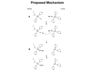 Proposed Mechanism 
