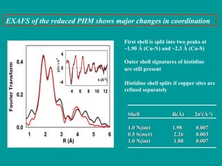 EXAFS of the reduced PHM shows major changes in coordination First shell is split into two peaks at ~1.90  Ǻ (Cu-N) and ~2.3 Ǻ (Cu-S) Outer shell signatures of histidine are still present   Histidine shell splits if copper sites are refined separately Shell R(Å) 2 σ 2 (Å -1 ) 1.0 N(im)  1.98  0.007 0.5 S(met)  2.26  0.003 1.0 N(im)  1.88  0.007 