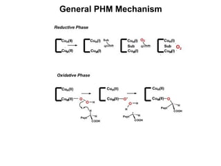 General PHM Mechanism 