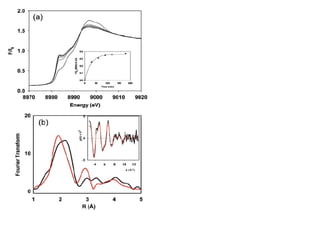 Is the conformational change localized or global? Oxidized PHM was photoreduced in the X-ray beam at pH 5.1 and 100 K in the acetate buffer system.  isosbestic point indicates formation of a single species of reduced enzyme. simulation reveals the “Met off” form and that scatterers present in the oxidized  form have dissociated So, although localized changes can  occur in the frozen matrix, the “Met off” form suggests that the Cu-S transition  requires changes in more global elements. Edges at 0, 30, 60, 90, 180 minutes (bottom to top) Photoreduced in red, ascorbate reduced in black 