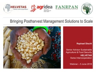 Bringing Postharvest Management Solutions to Scale
Raphael Dischl
Senior Advisor Sustainable
Agriculture & Food Security
HELVETAS
Swiss Intercooperation
Webinar – 5 June 2018
 