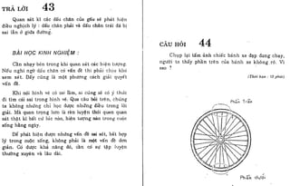 Phương pháp luyện trí não 1
