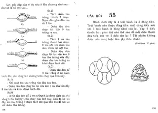 Phương pháp luyện trí não 1