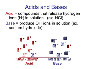 pH Notes | PPT