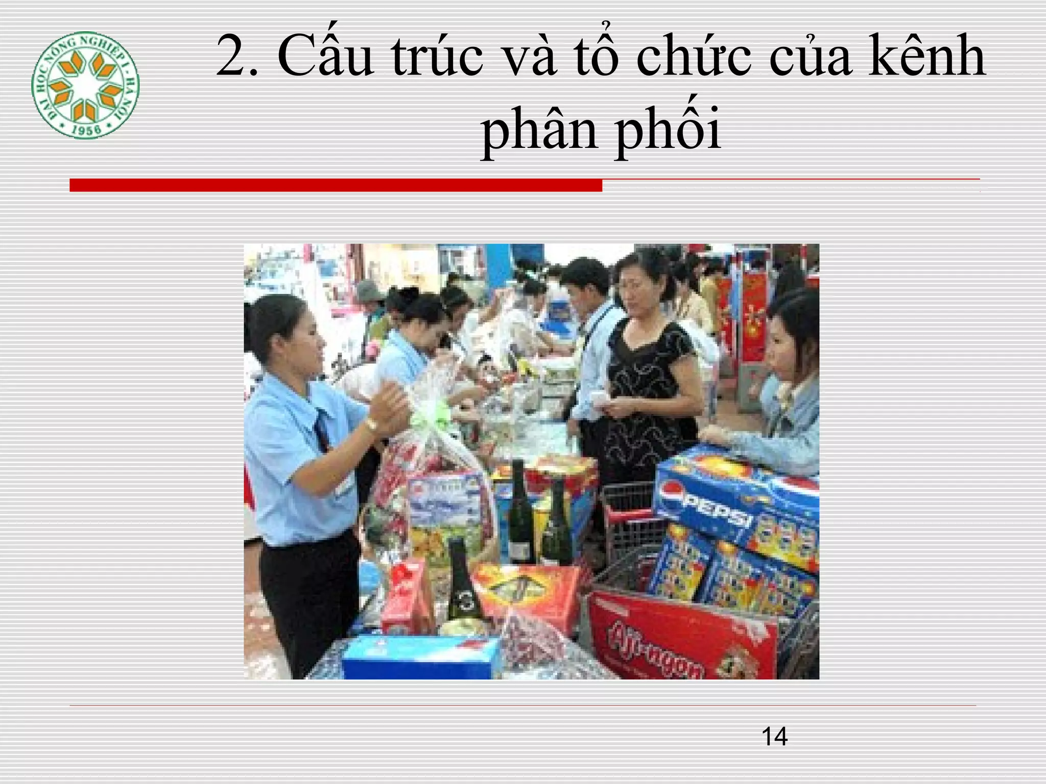 14
2. Cấu trúc và tổ chức của kênh
phân phối
 