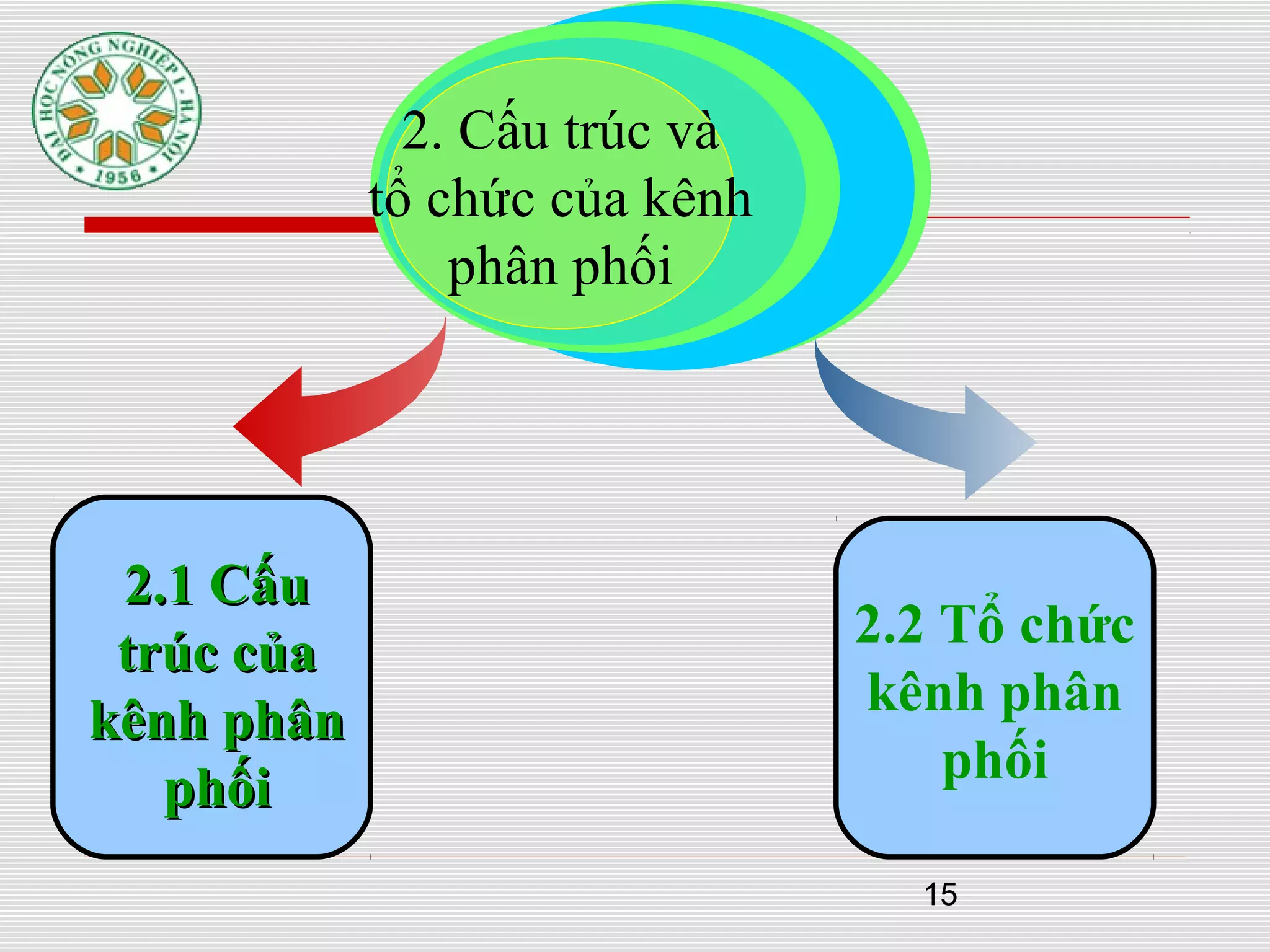 15
2.1 Cấu2.1 Cấu
trúc củatrúc của
kênh phânkênh phân
phốiphối
2. Cấu trúc và
tổ chức của kênh
phân phối
2.2 Tổ chức
kênh phân
phối
 