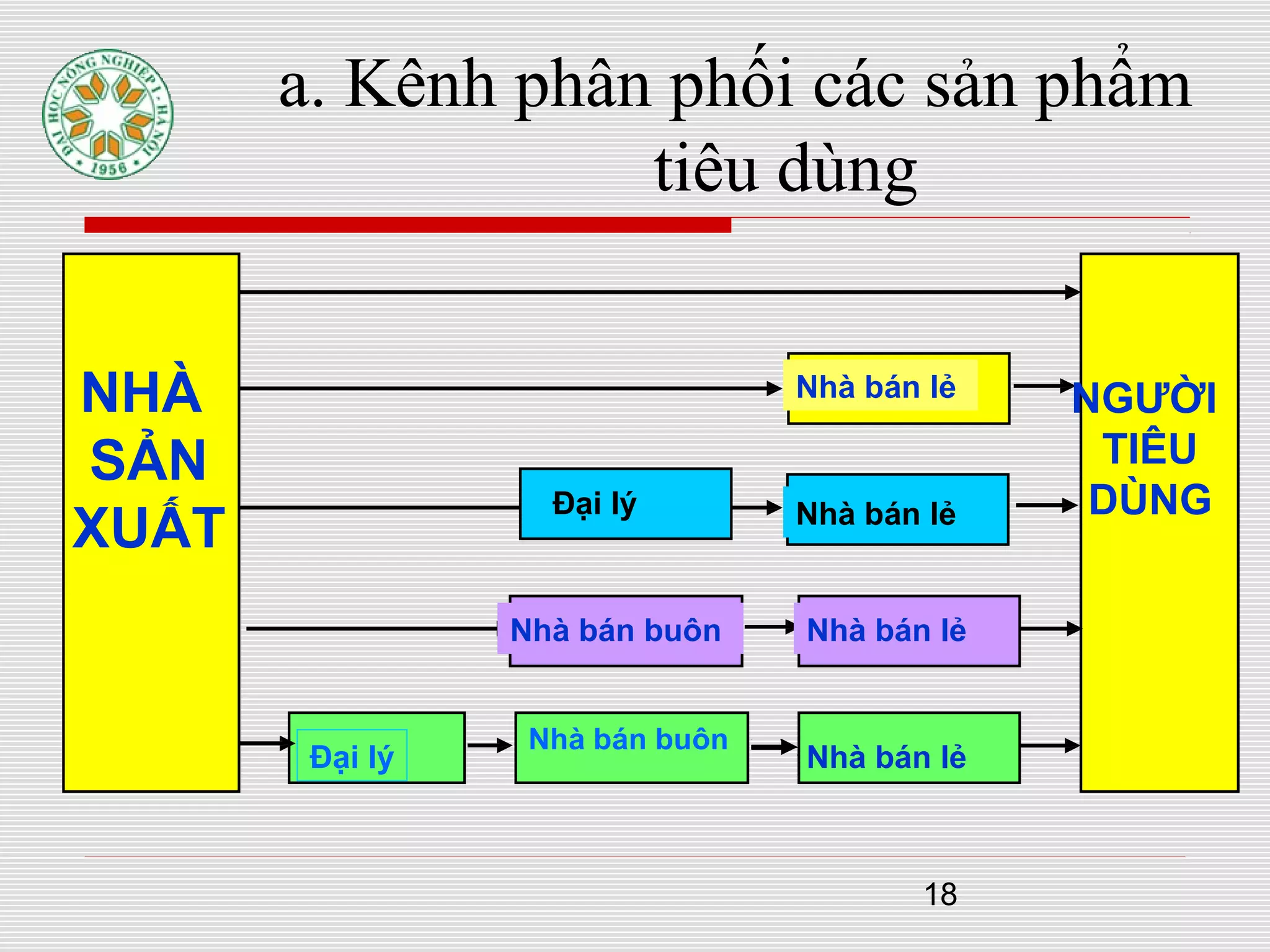 18
a. Kênh phân phối các sản phẩm
tiêu dùng
Nhà bán buôn
NHÀ
SẢN
XUẤT
Nhà bán lẻ
Nhà bán lẻ
Nhà bán lẻ
Nhà bán lẻ
Đại lý
Nhà bán buôn
Đại lý
NGƯỜI
TIÊU
DÙNG
 