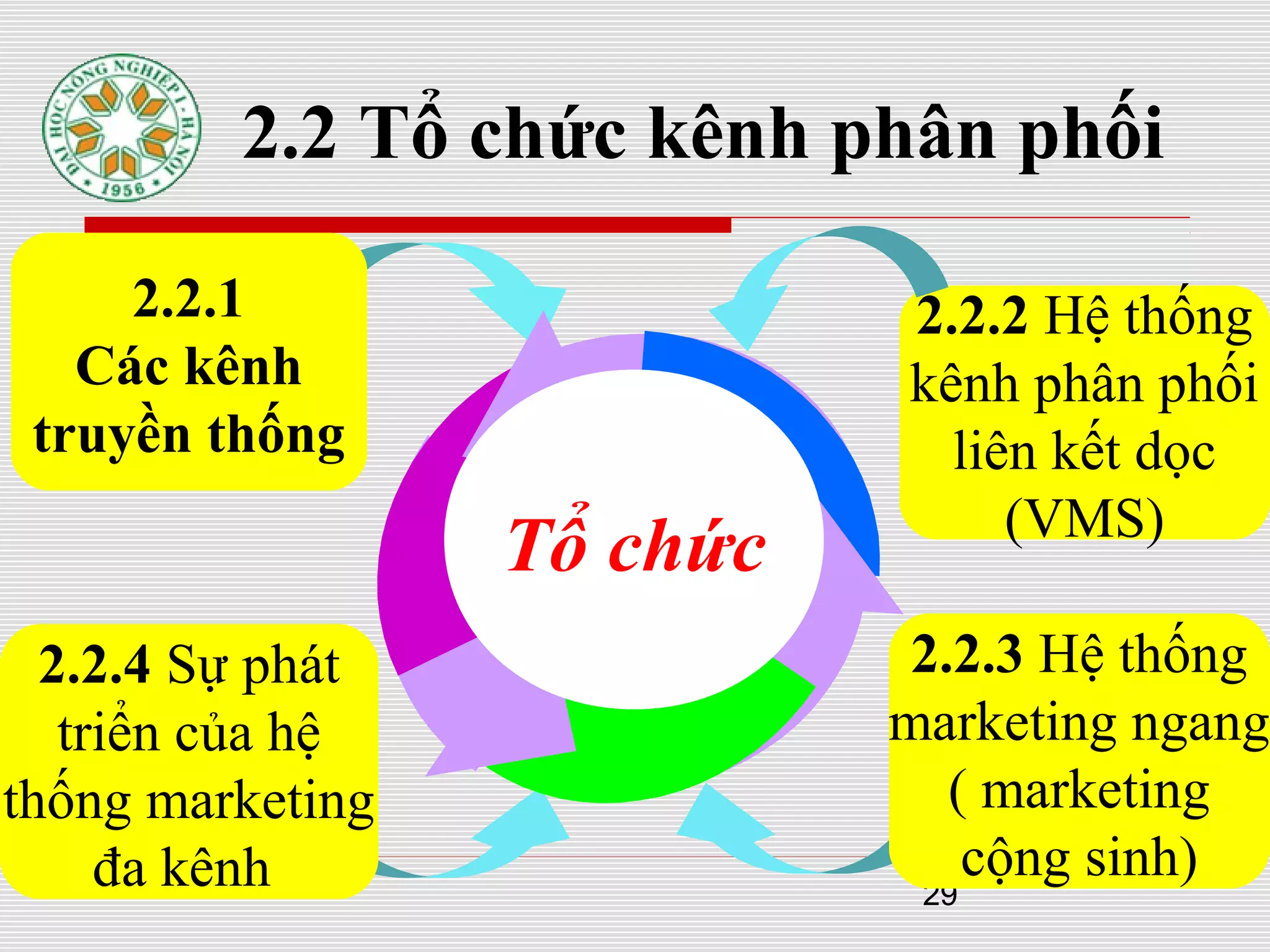 29
2.2 Tổ chức kênh phân phối
2.2.4 Sự phát
triển của hệ
thống marketing
đa kênh
2.2.3 Hệ thống
marketing ngang
( marketing
cộng sinh)
2.2.1
Các kênh
truyền thống
2.2.2 Hệ thống
kênh phân phối
liên kết dọc
(VMS)
Tổ chức
 