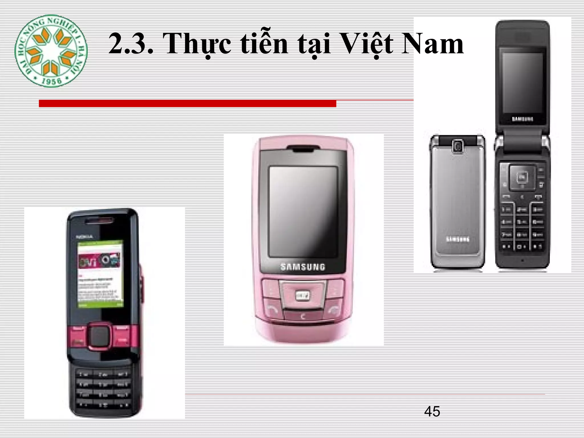 45
2.3. Thực tiễn tại Việt Nam
 