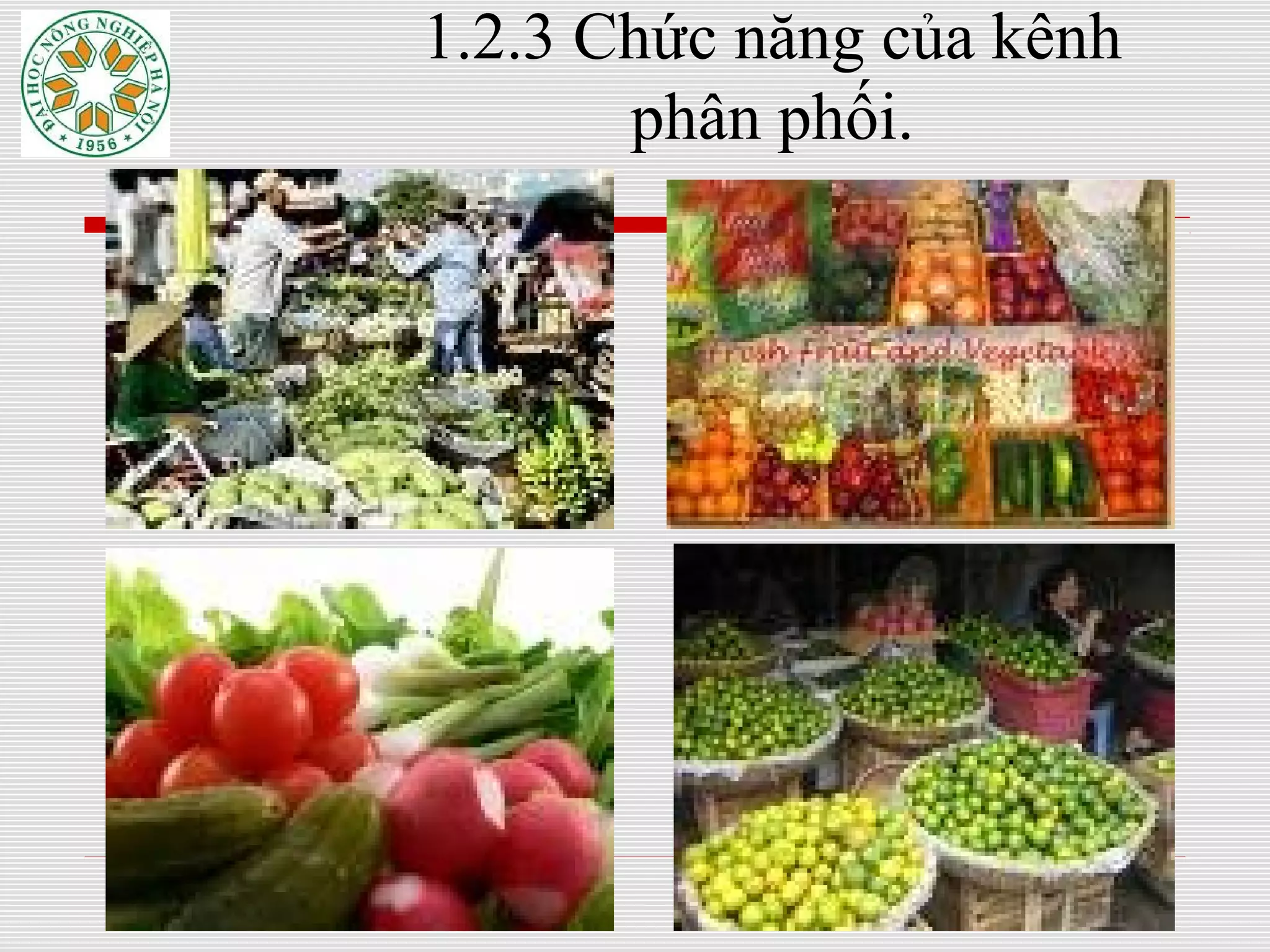 9
1.2.3 Chức năng của kênh
phân phối.
 