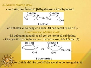 2. Lactose (đường sữa):
- có ở sữa, nó cấu tạo từ β-D-galactose và α-D-glucose:
- có tính khử vì nó cũng có nhóm OH bán acetal tự do ở C1.
Lactose
β
OH
14
1
O
O
CH2OHCH2OH
O
Saccharose
OHOH
2
CH2OH
O
1
O
CH2OH
CH2OH
O
- ko có tính khử: ko có OH bán acetal tự do trong phân tử.
3. Saccharose (đường mía):
- Là đường mía; ngoài ra nó còn có trong củ cải đường.
- Cấu tạo: từ 1 α-D-glucose và 1 β-D-fructose, liên kết αα (1,2):
 