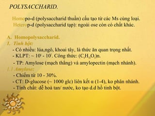 POLYSACCHARID.
Homopo-d (polysaccharid thuần) cấu tạo từ các Ms cùng loại.
Heterop-d (polysaccharid tạp): ngoài ose còn có chất khác.
A. Homopolysaccharid.
1. Tinh bột:
- Có nhiều: lúa,ngô, khoai tây, là thức ăn quan trọng nhất.
- KLPT: ~ 106
- 107
. Công thức: (C6H1OO5)n.
- TP: Amylose (mạch thẳng) và amylopectin (mạch nhánh).
1.1 Amylose:
- Chiếm từ 10 - 30%.
- CT: D-glucose (~ 1000 glc) liên kết α (1-4), ko phân nhánh.
- Tính chất: dễ hoà tan/ nước, ko tạo d.d hồ tinh bột.
 