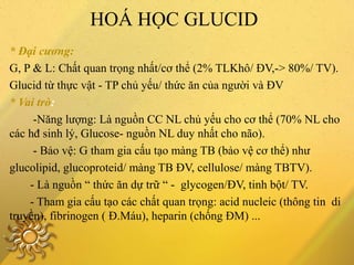 HOÁ HỌC GLUCID
* Đại cương:
G, P & L: Chất quan trọng nhất/cơ thể (2% TLKhô/ ĐV,-> 80%/ TV).
Glucid từ thực vật - TP chủ yếu/ thức ăn của người và ĐV
* Vai trò:
-Năng lượng: Là nguồn CC NL chủ yếu cho cơ thể (70% NL cho
các hđ sinh lý, Glucose- nguồn NL duy nhất cho não).
- Bảo vệ: G tham gia cấu tạo màng TB (bảo vệ cơ thể) như
glucolipid, glucoproteid/ màng TB ĐV, cellulose/ màng TBTV).
- Là nguồn “ thức ăn dự trữ “ - glycogen/ĐV, tinh bột/ TV.
- Tham gia cấu tạo các chất quan trọng: acid nucleic (thông tin di
truyền), fibrinogen ( Đ.Máu), heparin (chống ĐM) ...
 