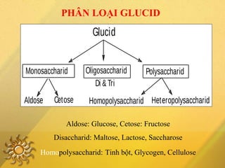 PHÂN LOẠI GLUCID
Glucid
Monosaccharid Polysaccharid
HeteropolysaccharidHomopolysaccharidAldose Cetose
Di &Tri
Oligosaccharid
Aldose: Glucose, Cetose: Fructose
Disaccharid: Maltose, Lactose, Saccharose
Homopolysaccharid: Tinh bột, Glycogen, Cellulose
 