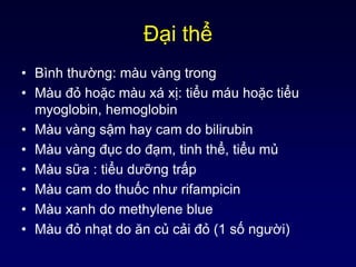 Đại thể
• Bình thường: màu vàng trong
• Màu đỏ hoặc màu xá xị: tiểu máu hoặc tiểu
myoglobin, hemoglobin
• Màu vàng sậm hay cam do bilirubin
• Màu vàng đục do đạm, tinh thể, tiểu mủ
• Màu sữa : tiểu dưỡng trấp
• Màu cam do thuốc như rifampicin
• Màu xanh do methylene blue
• Màu đỏ nhạt do ăn củ cải đỏ (1 số người)
 