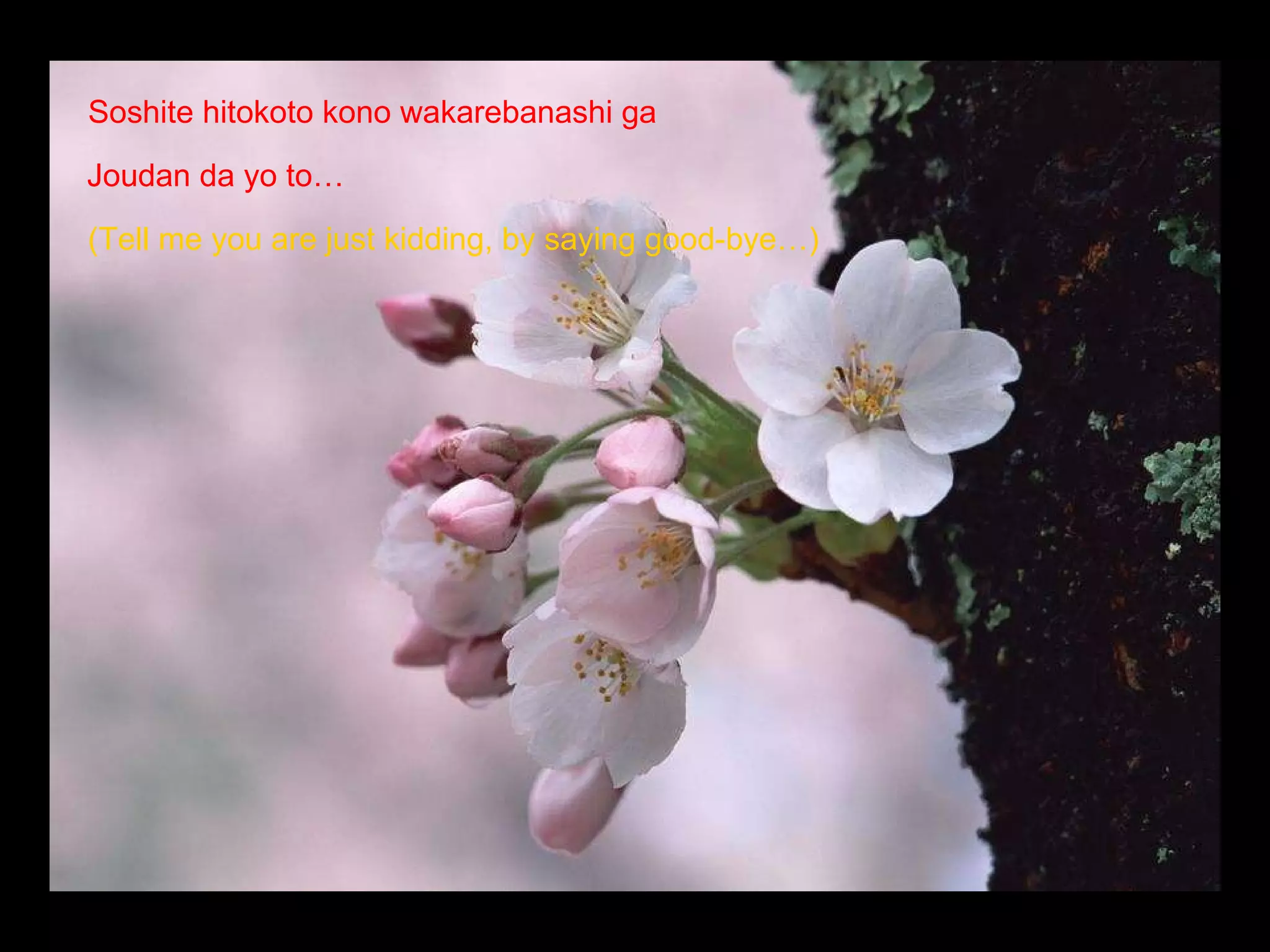 Soshite hitokoto kono wakarebanashi ga  (Tell me you are just kidding, by saying good-bye…)  Joudan da yo to… 