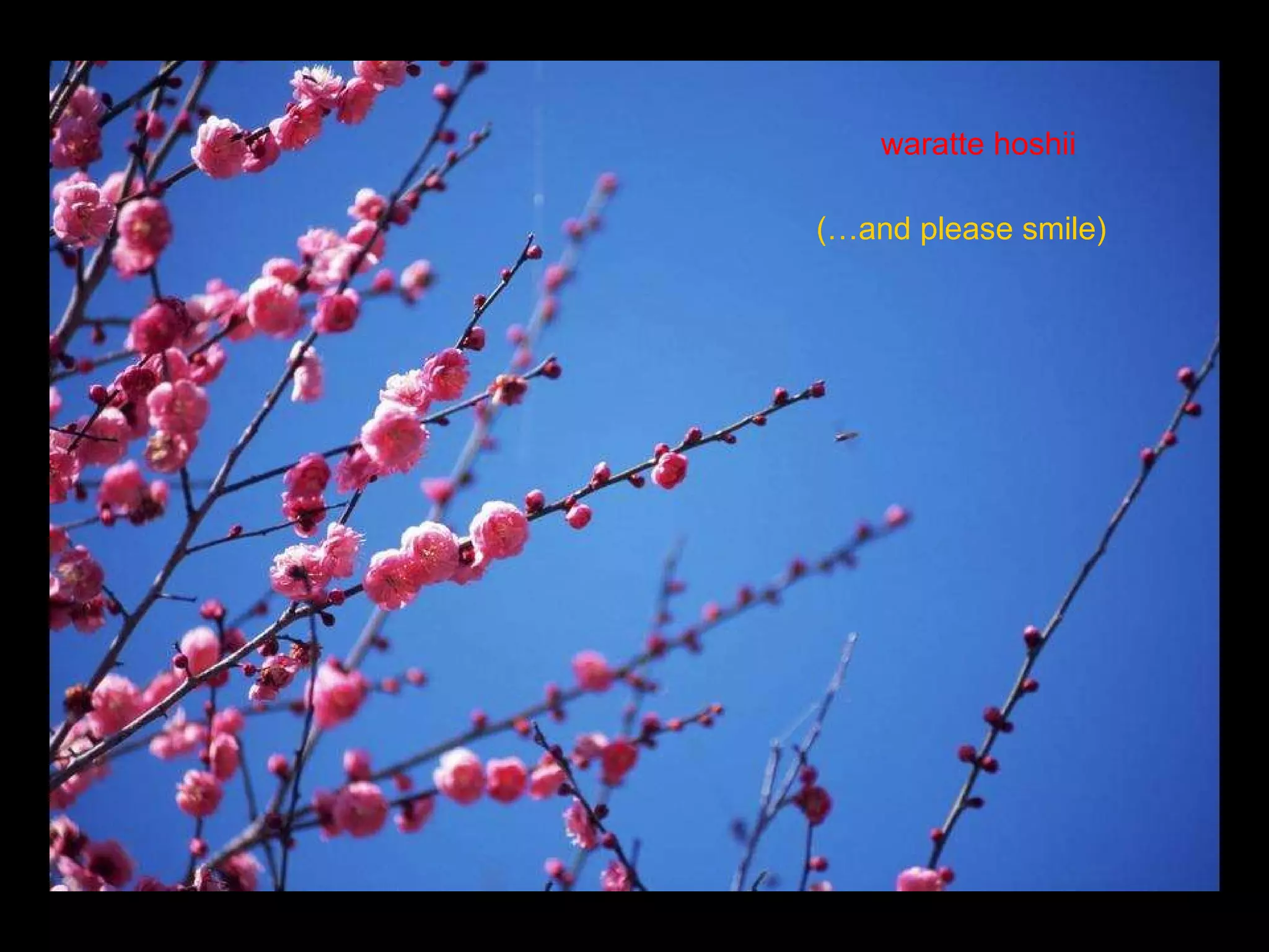 waratte hoshii   (…and please smile) 