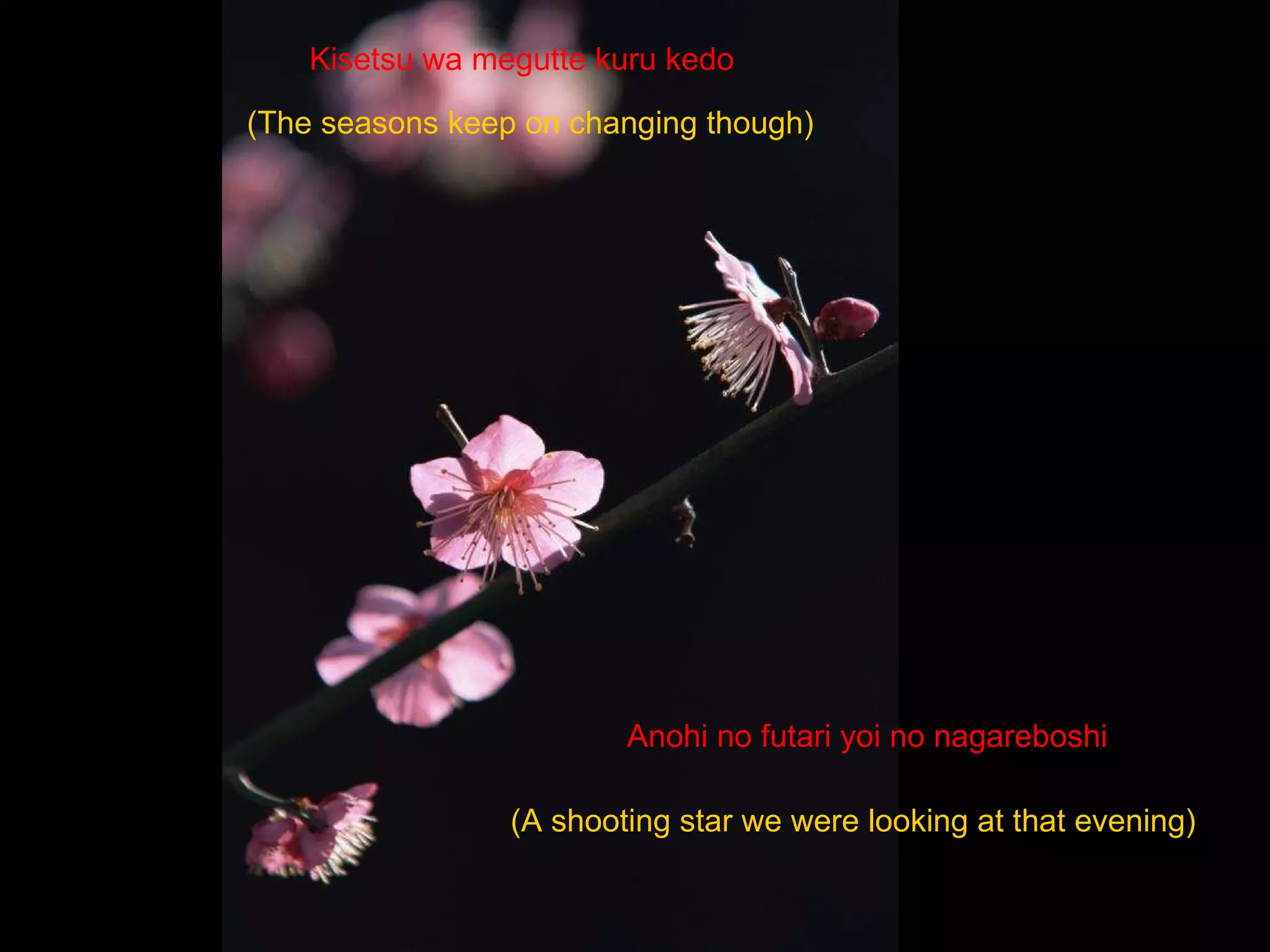 Kisetsu wa megutte kuru kedo   Anohi no futari yoi no nagareboshi   (The seasons keep on changing though)   (A shooting star   we were looking at that evening)   