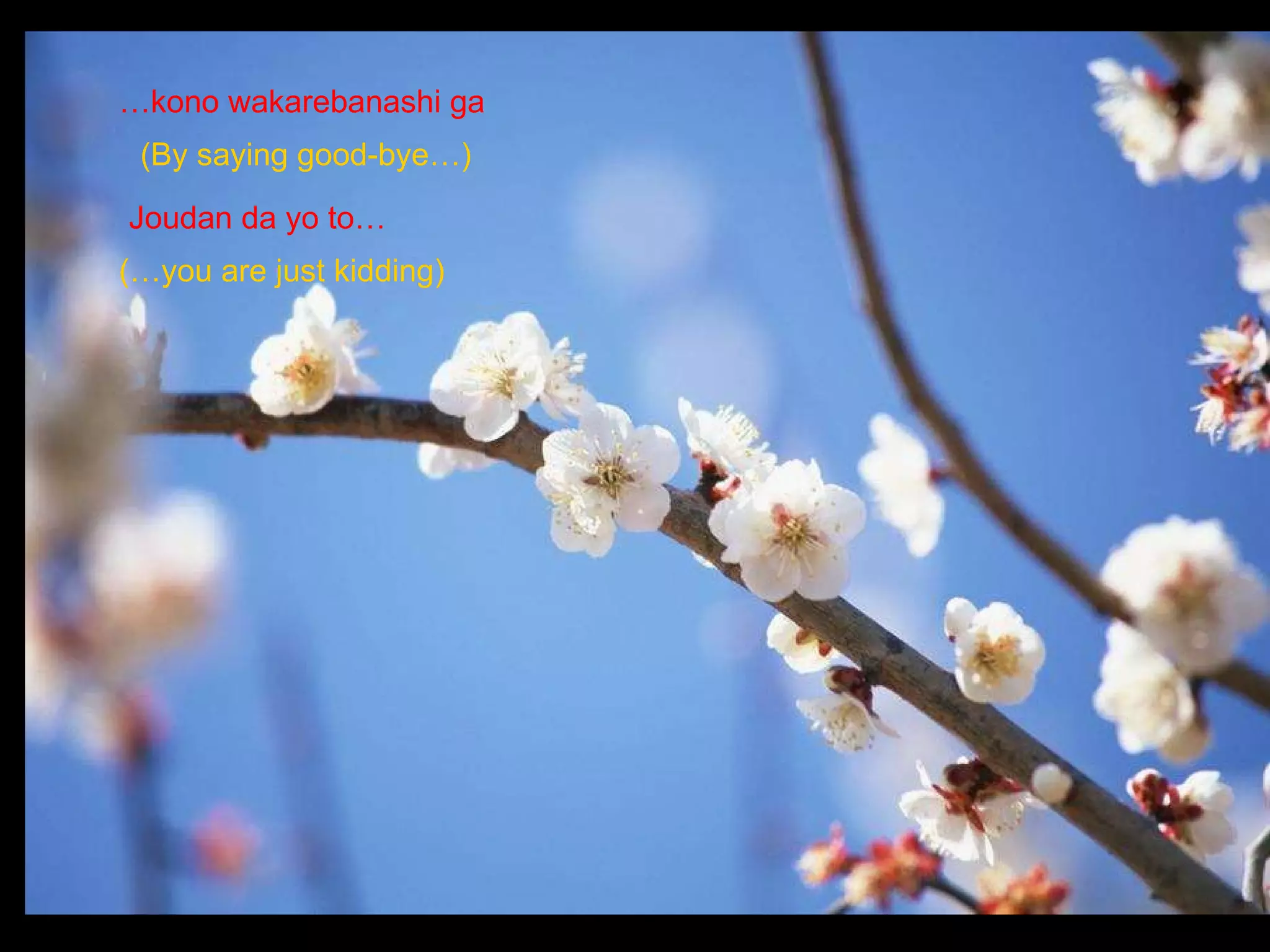 Joudan da yo to… … kono wakarebanashi ga   (…you are just kidding) (By saying good-bye…) 