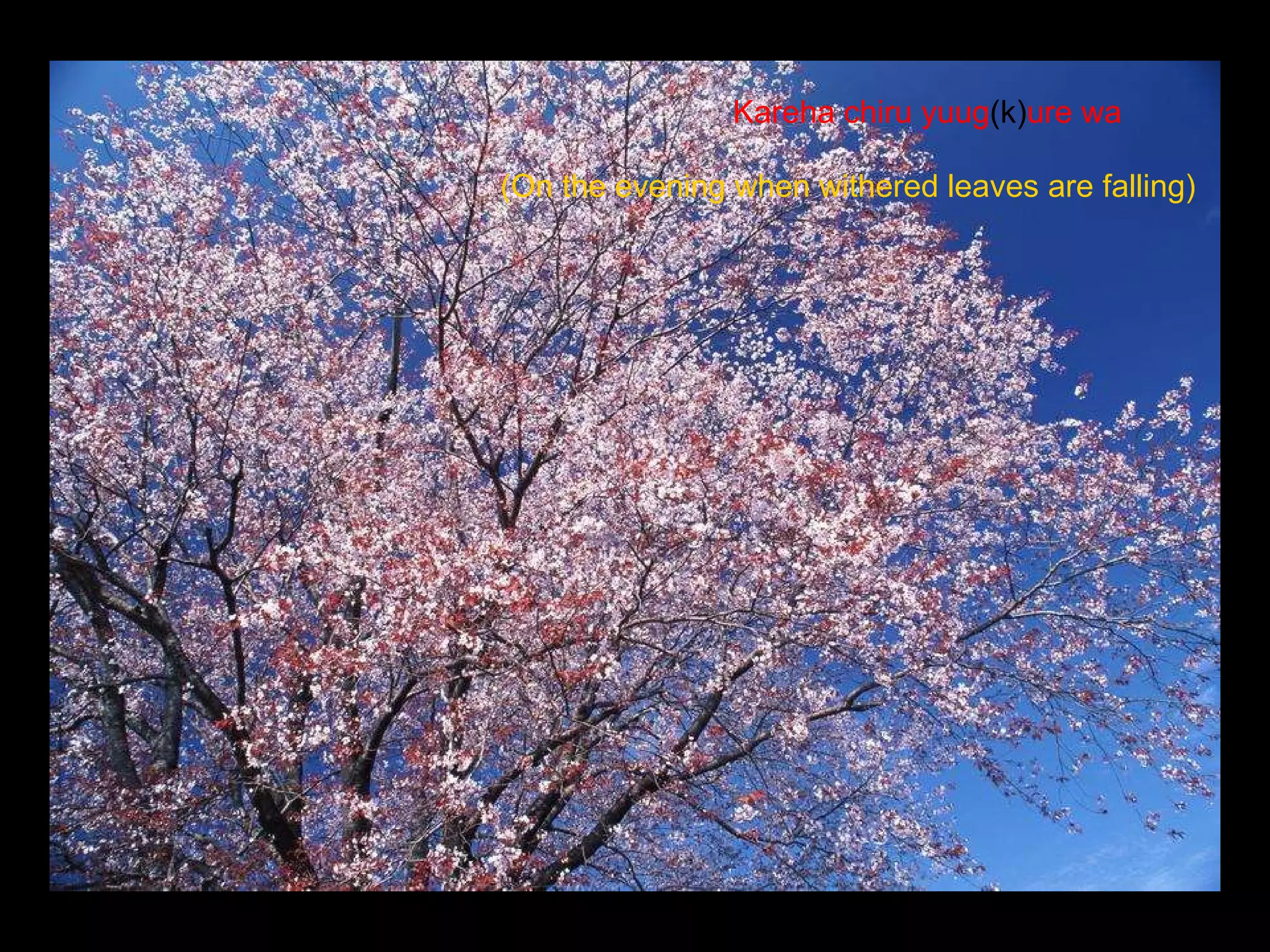 Kareha chiru yuug (k) ure wa (On the evening   when withered leaves are falling) 